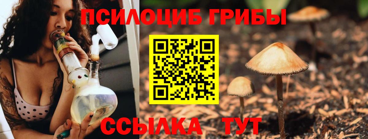 Псилоцибиновые грибы ЛСД  Вход с VPN  Коряжма  где найти наркотики  Галлюциногенные грибы MAGIC MUSHROOMS 